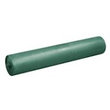 R35MH04500