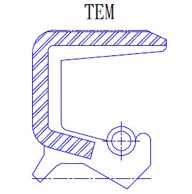T63RJ11905